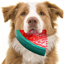 Load image into Gallery viewer, Cooling Freezable Summer Pet Dog Teething Chew Toy