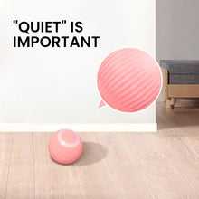 Load image into Gallery viewer, 2 in 1 Simulated Interactive Hunting Cat Toy
