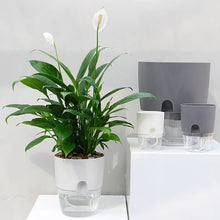 Load image into Gallery viewer, Self Watering Planter