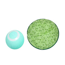Load image into Gallery viewer, 2 in 1 Simulated Interactive Hunting Cat Toy