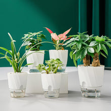 Load image into Gallery viewer, Self Watering Planter