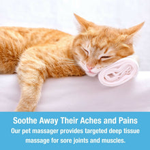 Load image into Gallery viewer, Pet Massager