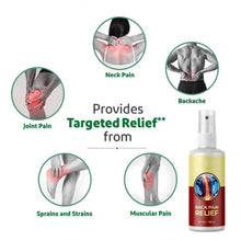 Load image into Gallery viewer, 3 pack back pain Spray