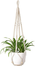 Load image into Gallery viewer, Indoor Hanging Planter Pot