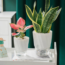Load image into Gallery viewer, Self Watering Planter