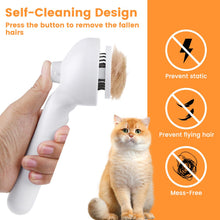 Load image into Gallery viewer, Cat And Dog Steam Brush