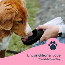 Load image into Gallery viewer, 19 oz portable water bottle for dogs