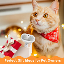Load image into Gallery viewer, Cat And Dog Steam Brush