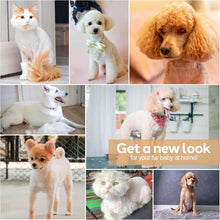 Load image into Gallery viewer, Dog Grooming Clippers Kit