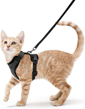 Load image into Gallery viewer, Escape Proof Cat Harness
