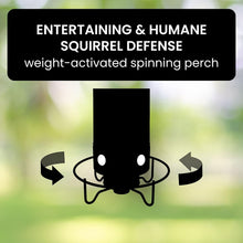 Load image into Gallery viewer, Squirrel-Proof Bird Feeder