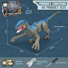 Load image into Gallery viewer, Remote Control Dinosaur