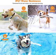 Load image into Gallery viewer, Wireless Dog Fence With Collar