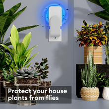 Load image into Gallery viewer, Indoor Fly Trap