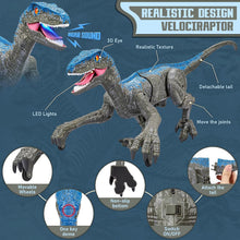 Load image into Gallery viewer, Remote Control Dinosaur