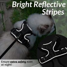 Load image into Gallery viewer, Escape Proof Cat Harness