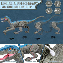 Load image into Gallery viewer, Remote Control Dinosaur