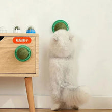 Load image into Gallery viewer, 4 Pcs Premium Catnip Ball