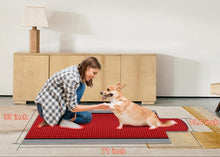 Load image into Gallery viewer, HexoMat™ Full-Body Red Light Therapy Mat