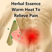 Load image into Gallery viewer, HexoPatch™ Natural Back Pain Relief Kit