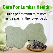 Load image into Gallery viewer, HexoPatch™ Natural Back Pain Relief Kit
