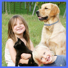 Load image into Gallery viewer, Dog Pest Collar
