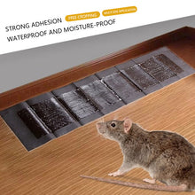 Load image into Gallery viewer, 5 Extra-Large Glue Pads For Mice And Rats