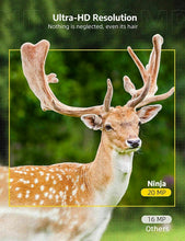 Load image into Gallery viewer, Wireless Hd Wildlife Game Trail Camera With Night Vision