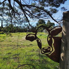 Load image into Gallery viewer, Metal Artwork For The Garden