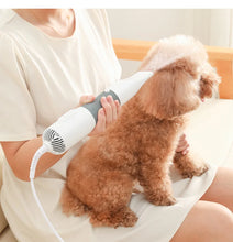 Load image into Gallery viewer, 3-in-1 Dog Hair Dryer and Grooming Brush