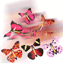 Load image into Gallery viewer, DIY Valentine's Day Magic Butterfly Photo Surprise Gift