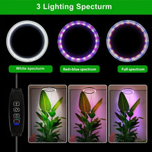 Load image into Gallery viewer, Grow Light For Indoor Plants