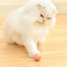 Load image into Gallery viewer, 2 in 1 Simulated Interactive Hunting Cat Toy