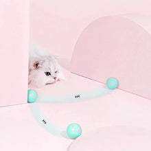 Load image into Gallery viewer, 2 in 1 Simulated Interactive Hunting Cat Toy