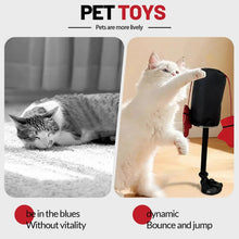 Load image into Gallery viewer, Cat Toys