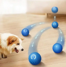 Load image into Gallery viewer, Active Rolling Ball Anti-Anxiety Automatic Moving Ball