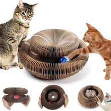 Load image into Gallery viewer, Magic Organ Cat Scratching Board