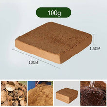 Load image into Gallery viewer, Coco Coir Bricks