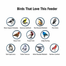 Load image into Gallery viewer, Squirrel-Proof Bird Feeder