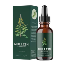 Load image into Gallery viewer, Gluten Free Mullein For Lung Health