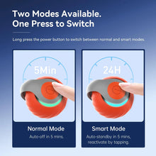 Load image into Gallery viewer, Interactive Rechargeable Cat Toy Ball