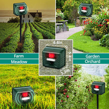Load image into Gallery viewer, Woodpecker Ultrasonic Repeller