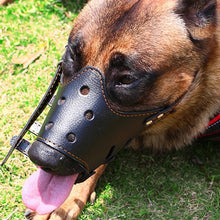 Load image into Gallery viewer, Breathable Dog Biting Muzzle Mouth Guard