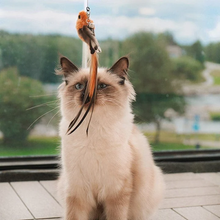 Load image into Gallery viewer, Interactive Bird Simulation Cat Toy Set