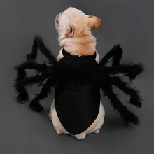 Load image into Gallery viewer, Pet Funny Spider Costume