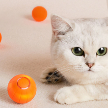 Load image into Gallery viewer, Pet Ball (Special Edition)