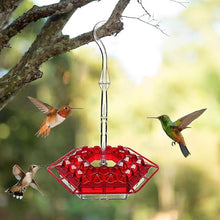 Load image into Gallery viewer, Ant Proof Hummingbird Feeder Outdoor Hanging Perch