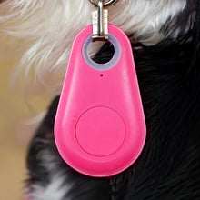 Load image into Gallery viewer, Pets Smart Waterproof GPS Tracker