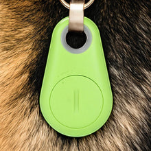 Load image into Gallery viewer, Pets Smart Waterproof GPS Tracker
