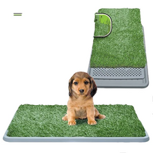 Load image into Gallery viewer, Indoor Grass